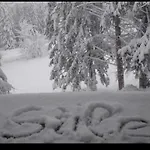 Erika Apartment Tarvisio